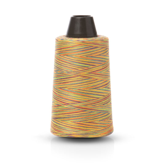 Rainbow Overlocking Thread (A)