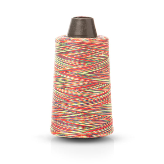 Rainbow Overlocking Thread (C)